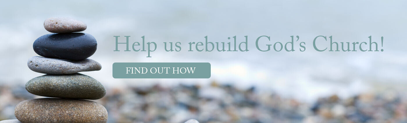 Donate to Franciscan Media! Help us rebuild the Church!